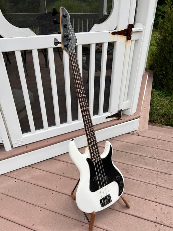 Peavey Fury