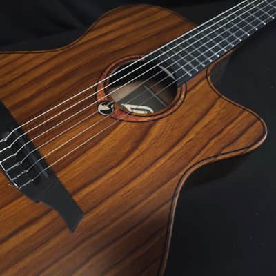 Lag New Sauvage-N-ASCE Acoustic Electric Guitar w/Gig Bag image 8