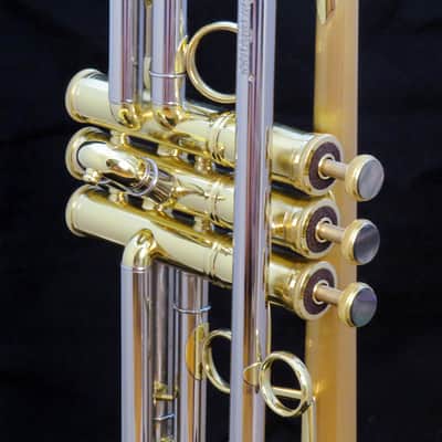 CarolBrass CTR-6280L-GSS-Bb-SLB Demo Stock Like-New image 5