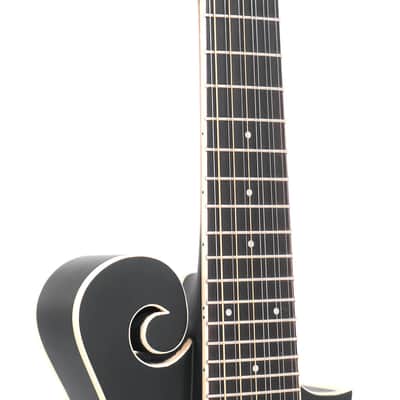 Gold Tone F-12: 12-string F-style Mando-Guitar with Pickup and Case image 2