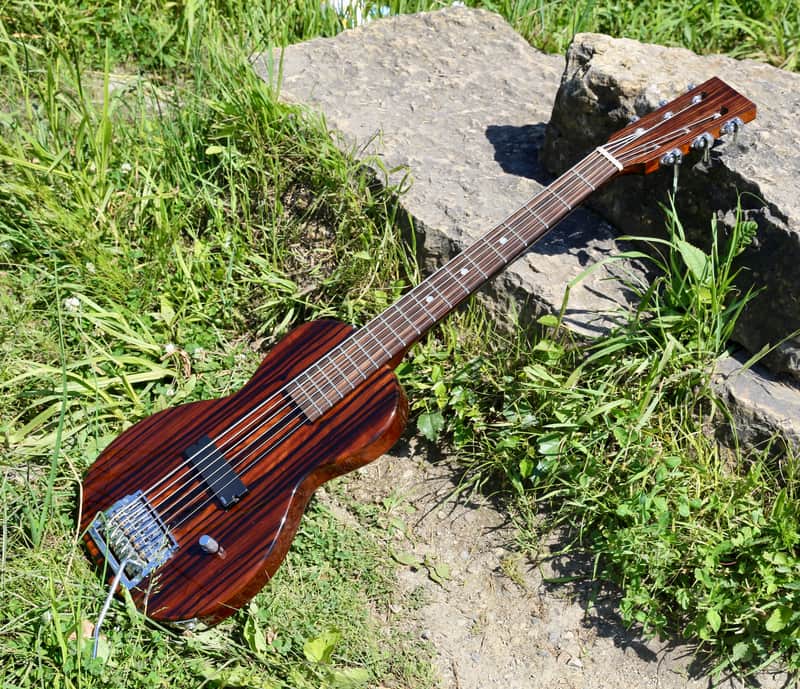 Specimen Luddite Six String Bass image 1