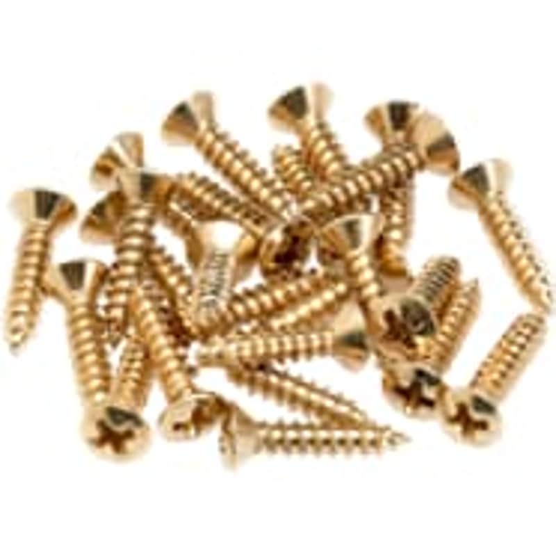 Pickguard/Control Plate Mounting Screws (24) (Gold) image 1