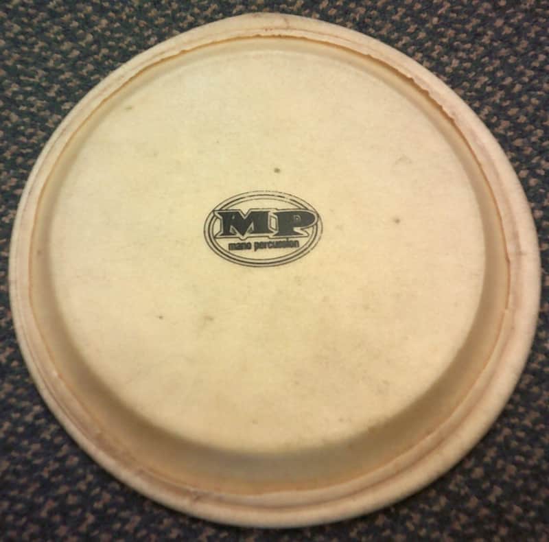 Latin Percussion LPA640A 10" Rawhide Quinto Head image 1