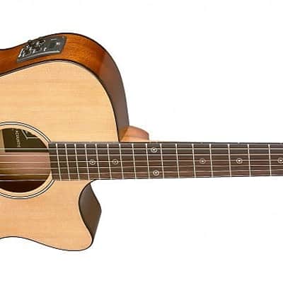 James Neligan BES-ACE N Auditorium Solid Spruce Top Mahogany Neck 6-String Acoustic-Electric Guitar image 3