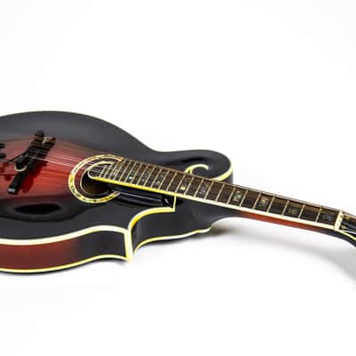 Michael Kelly F Style Mandolin Owned by Matt Freeman Of Rancid image 12
