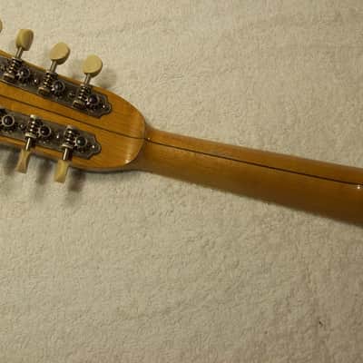 Vega Little Wonder Banjo Mandolin 1930 image 9
