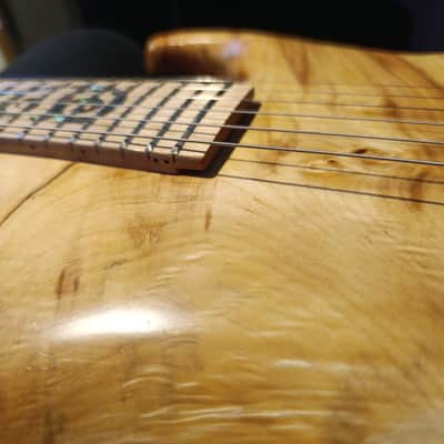 Roma Custom double cut 2024 - Natural image 9