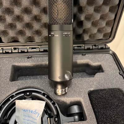 Sony C-100 Hi-Res Dual Capsule Condenser Microphone 2010s - Black image 2