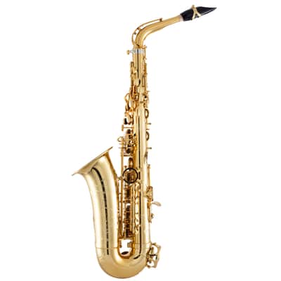 Selmer Paris 82 Signature Series Professional Alto Saxophone Lacquer image 2