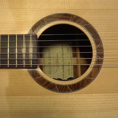 Peterson D-100 MY (2021) USA Handbuilt Boutique Acoustic Dreadnought - Fishman Matrix Infinity, OHSC image 22