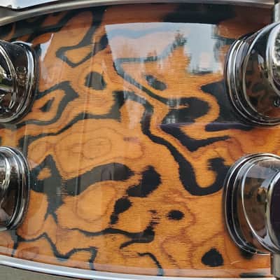 Mapex Orion 2008 - Chocolate Burl image 14