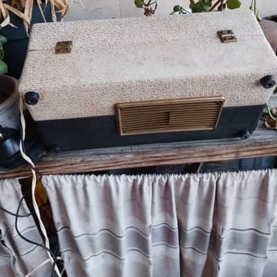 Immagine Watkins Copicat MK II Tape Delay - 4