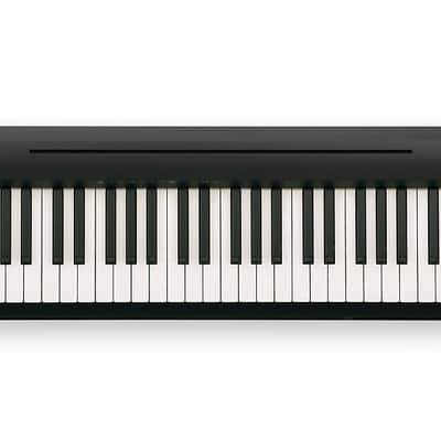 Roland FP-10 Series 88 Key Digital Piano, Black