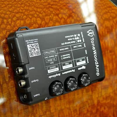 HONZ Tech ToneWood Amp for Acoustic Guitar image 10