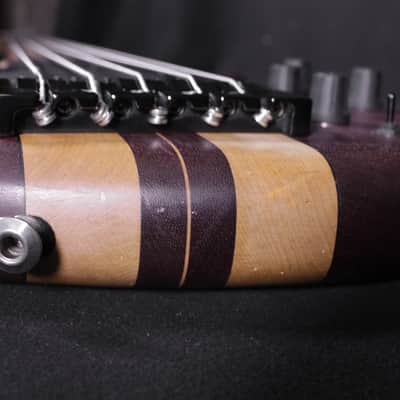 Tobias Fretless 5 String Bass image 10