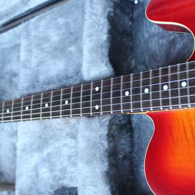 Franken-Tele w/h extra original Floyd rose bridge image 4