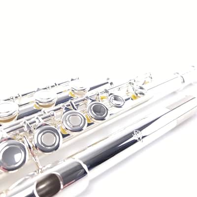 Di Zhao DZ 401 E Flute Open Hole B Foot Split E Silver Lip Intermediate NEW image 7