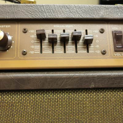Acoustic G 100 T  tube guitar amp image 15