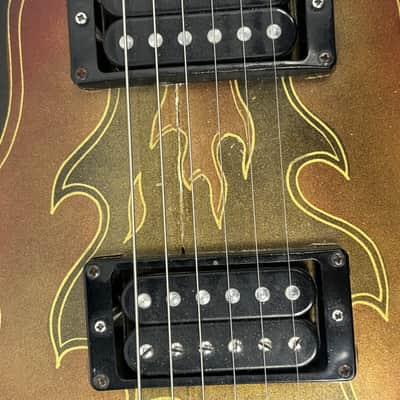 Washburn Raven electric guitar / flaming eagle refinish + Tweed case image 18