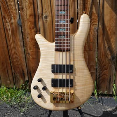 Spector USA NS-5XL - Curly/Flame Solid Wings Oil Finish Left-Handed 5-String Bass Guitar w/ Black Tolex Case (2023) image 5