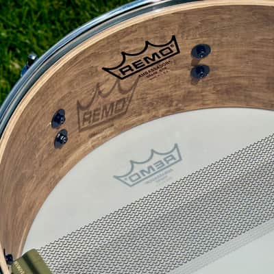 Custom Built Maple 14 x 4 Inch Snare Drum White Oyster Maple Snare Drum 2025 - White Oyster Wrap image 15