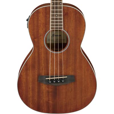 Ibanez PNB14E Performance Series Acoustic-Electric Bass - Open Pore Natural image 1