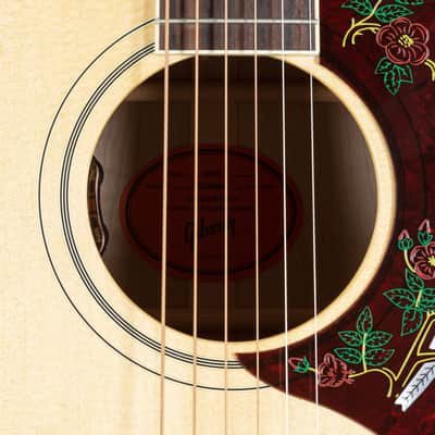 Gibson Dove Original AN - Acoustic Guitar image 9
