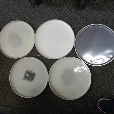 used Miscellaneous lot of 13 14" drum heads image 2