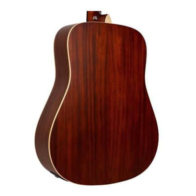 Gold Tone The Dread Acoustic-Electric All Solid Wood Guitar with Bag (Burst image 5