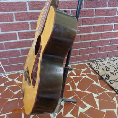 1960's Jackson Guldan Cittern - 10 Strings in B Tuning - Fifths Tuning image 11