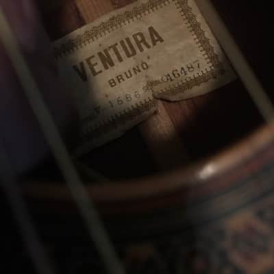 Ventura bruno V1586 Acoustic electric image 3