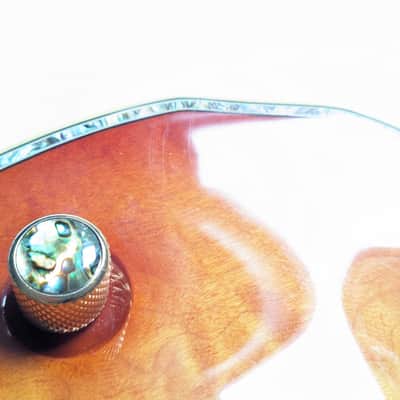 Schecter PT Custom image 15