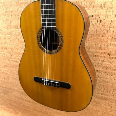1971 Martin N-20 - CLEAN image 2