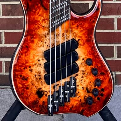 Dingwall Z3 5-String, Custom Color - Explosion Burst, Poplar Burl Top, Maple Contrast Layer, Dual Density Swamp Ash Body - Black Ceruse, Wenge Neck, Macassar Ebony Fretboard, Ghost Block Inlays, Luminlay Side Dots, Darkglass Tone Capsule w/ Toggles image 2