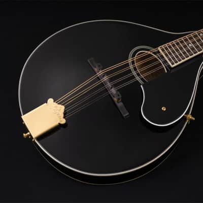 Washburn M1SDLB Bluegrass Series A-Style Mandolin. New with Full Warranty! image 15