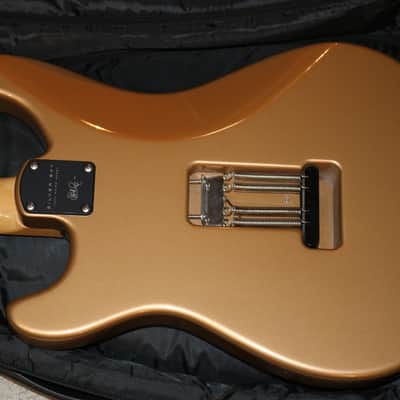 2019 USA PRS Silver Sky - Golden Mesa - No Tariffs image 9