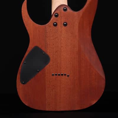 Ibanez RG421, Mahogany Oil image 3
