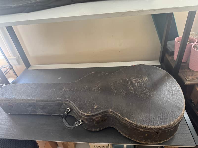 Immagine Vintage Epiphone Case - 1