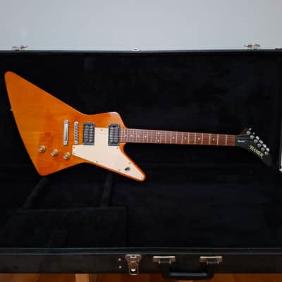 1999 Hamer Explorer Standard Natural w/HSC image 1