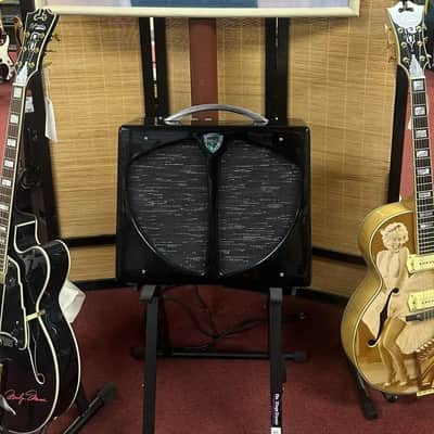 Two Semi-Hollow D'Angelico and One 57 Retro Fender Amp Combo image 1