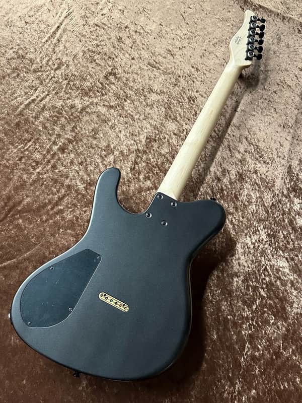 ギター dragonfly BORDER CUSTOM 648 dragonfly BORDER FX648 -GUN METALLIC-【LIMITED MODEL】 [GSB019
