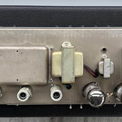 Fender Blackface Tremolux 1965 image 6
