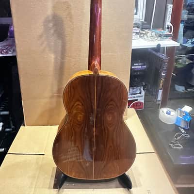 Vintage Giannini AWN71 Acoustic Guitar – Playable, Needs Restoration image 14