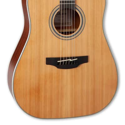 Takamine GD20CE NS Natural Satin image 1