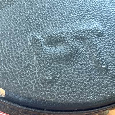Protec Stonewood A/F Mandolin Case image 5