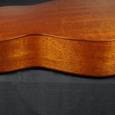 Thompson TM-1 1996 - Natural image 19
