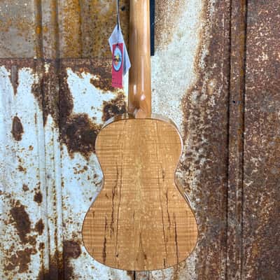 Snail Spalted Maple Gloss Concert Ukulele image 7