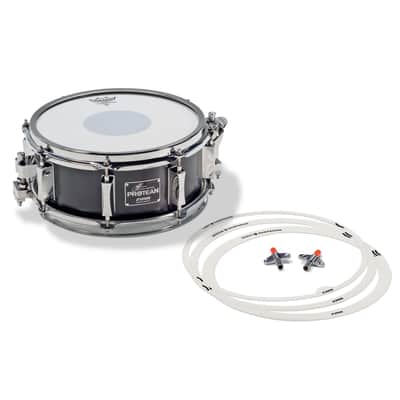 Sonor "Protean" Gavin Harrison Signature 12x5" Birch Snare Drum (Standard Edition)
