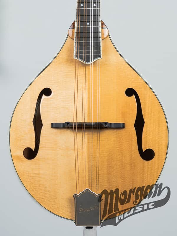 Bourgeois M5A Aged Tone Mandolin Bild 1