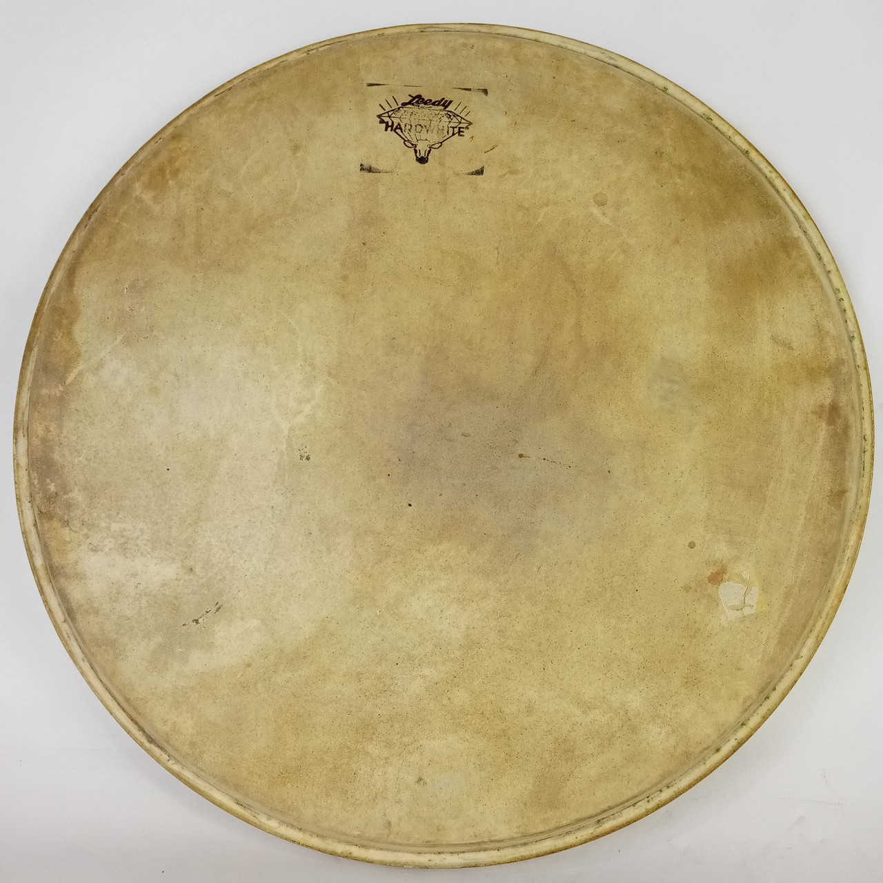Leedy Hardwhite 14"Calfskin Snare Drum/Floor Tom Head Vintage Batter/Resonant US — main photograph